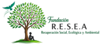 logo pgina