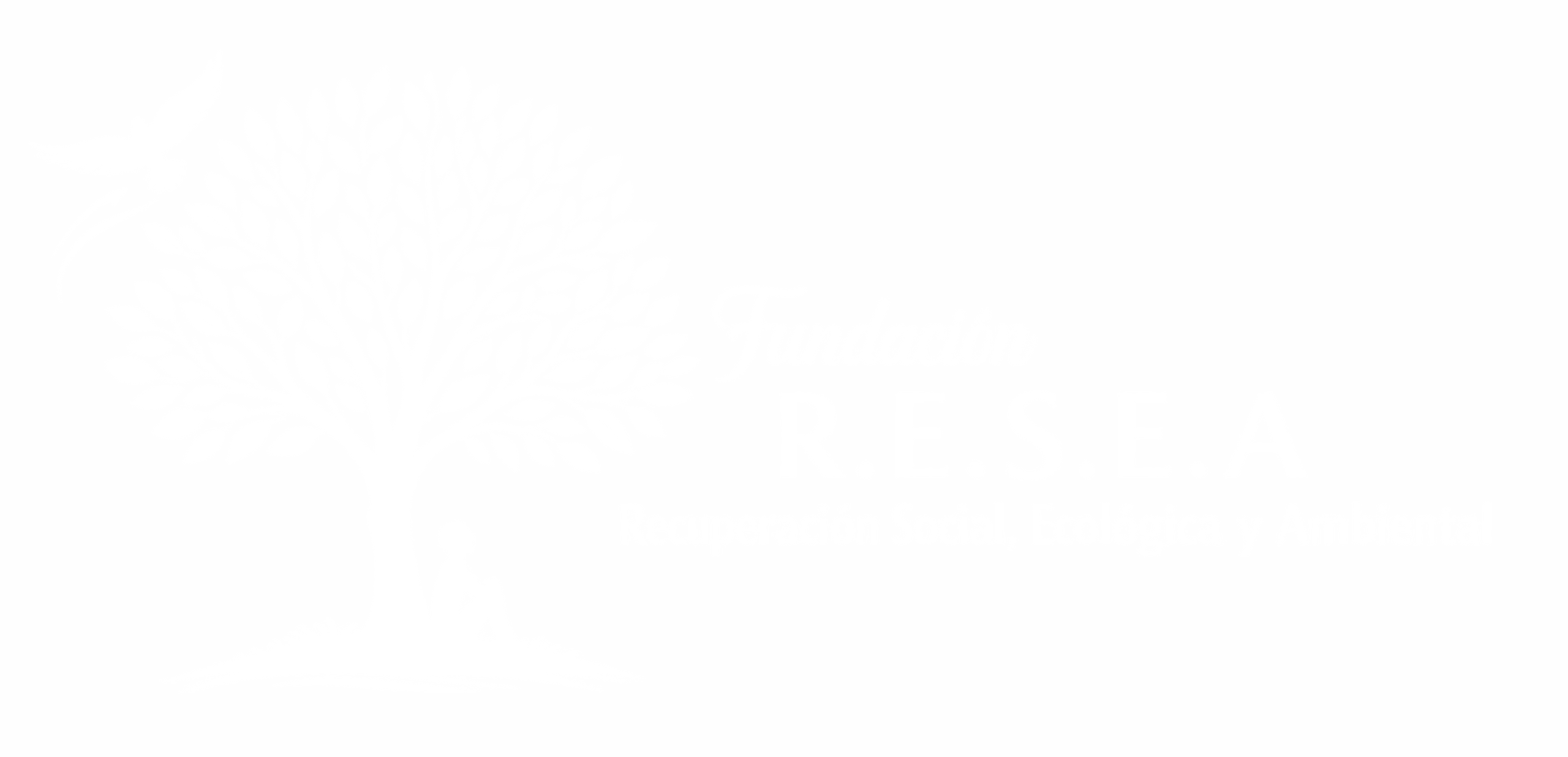 Fundación RESEA
